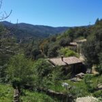 https://www.shaktymooniyoga.com/retraite-7-jours-et-6-nuits-du-24-au-30-septembre-dans-les-alpes/