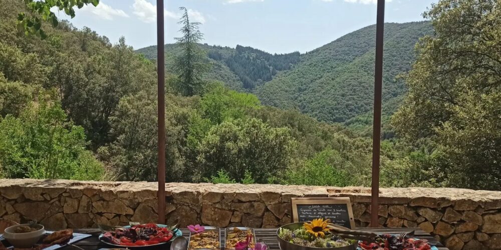 Retraite Cévennes Shakty Mooni Yoga