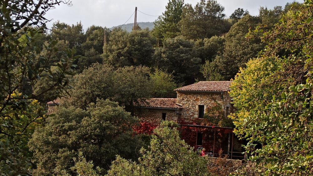 Shakty Mooni Yoga Retraite Cévennes