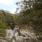 Shakty Mooni Yoga Retraite Cévennes