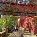 Shakty Mooni Yoga Retraite Cévennes
