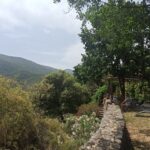 Shakty Mooni Yoga Retraite Cévennes