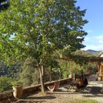 Shakty Mooni Yoga Retraite Cévennes