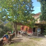 Shakty Mooni Yoga Retraite Cévennes