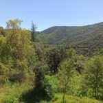 Shakty Mooni Yoga Retraite Cévennes