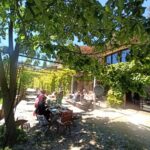 Shakty Mooni Yoga Retraite Cévennes