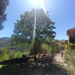 Shakty Mooni Yoga Retraite Cévennes