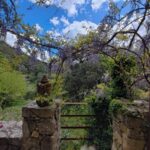 Shakty Mooni Yoga Retraite Yoga Méditation Cévennes