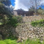 Shakty Mooni Yoga Retraite Yoga Méditation Cévennes