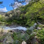 Shakty Mooni Yoga Retraite Yoga Méditation Cévennes