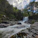Shakty Mooni Yoga Retraite Yoga Méditation Cévennes