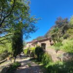 Shakty Mooni Yoga Retraite Yoga Méditation Cévennes