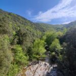 Shakty Mooni Yoga Retraite Yoga Méditation Cévennes