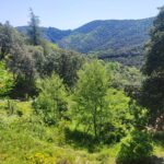 Shakty Mooni Yoga Retraite Yoga Méditation Cévennes