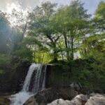 Shakty Mooni Yoga Retraite Yoga Méditation Cévennes
