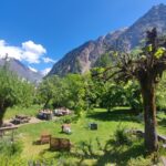 Shakty Mooni Yoga Retraite Yoga Méditation Alpes