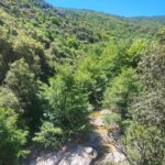 Shakty Mooni Yoga Retraite Yoga Méditation Cévennes