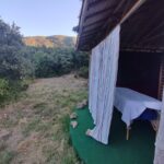 Shakty Mooni Yoga Retraite Yoga Méditation Cévennes