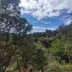 Shakty Mooni Yoga Retraite Yoga Méditation Cévennes