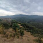 Shakty Mooni Yoga Retraite Yoga Méditation Cévennes