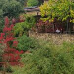 Shakty Mooni Yoga Retraite Yoga Méditation Cévennes