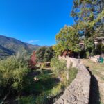 Shakty Mooni Yoga Retraite Yoga Méditation Cévennes