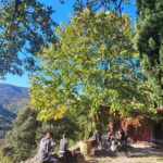 Shakty Mooni Yoga Retraite Yoga Méditation Cévennes