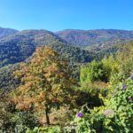 Shakty Mooni Yoga Retraite Yoga Méditation Cévennes