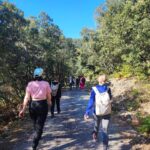 Shakty Mooni Yoga Retraite Yoga Méditation Cévennes