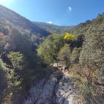 Shakty Mooni Yoga Retraite Yoga Méditation Cévennes