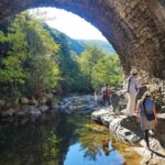 Shakty Mooni Yoga Retraite Yoga Méditation Cévennes
