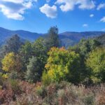 Shakty Mooni Yoga Retraite Yoga Méditation Cévennes