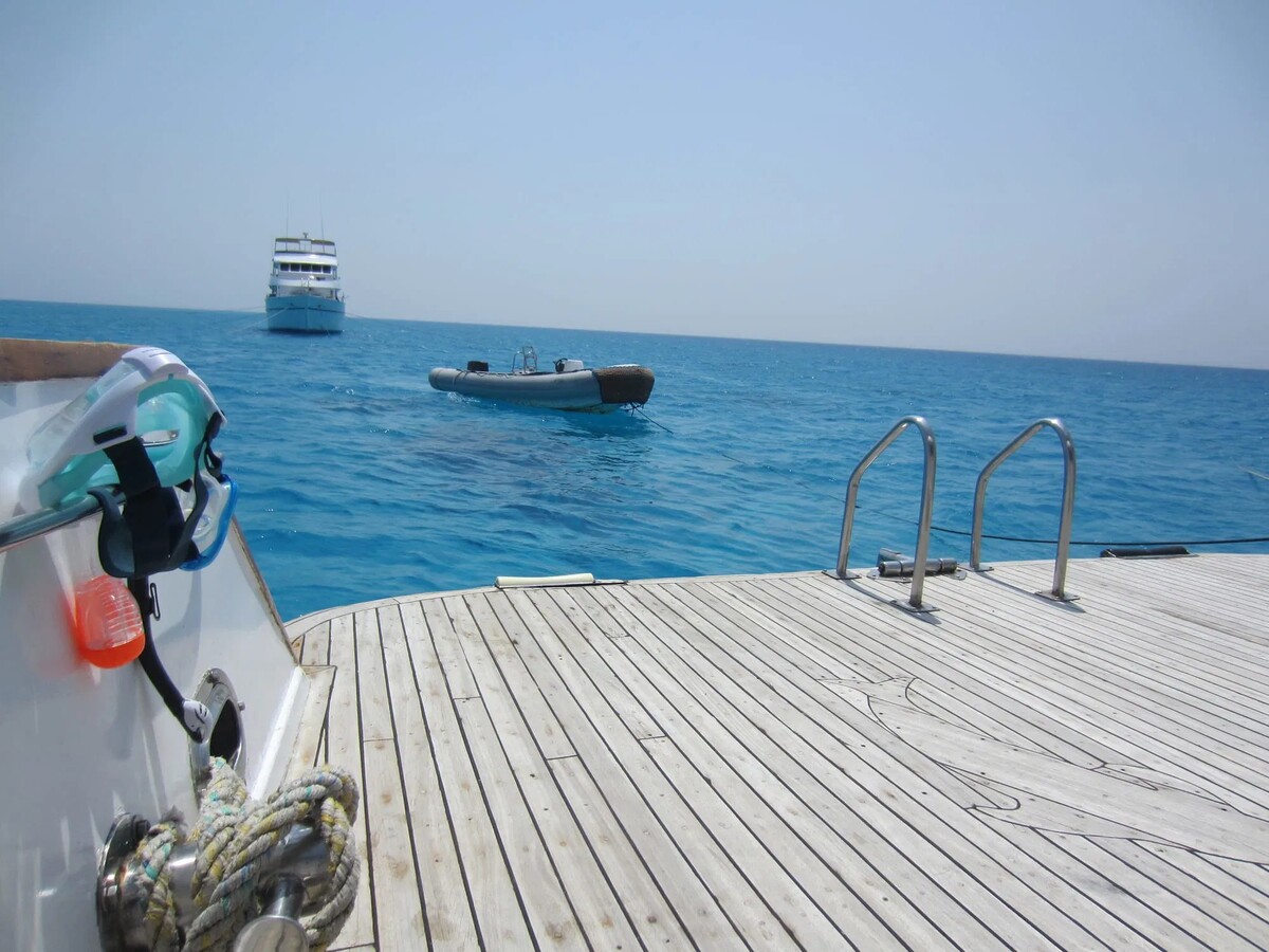 Shakty Mooni Yoga Retraite Yoga méditation et nage avec les dauphins Egypte Baie Sataya