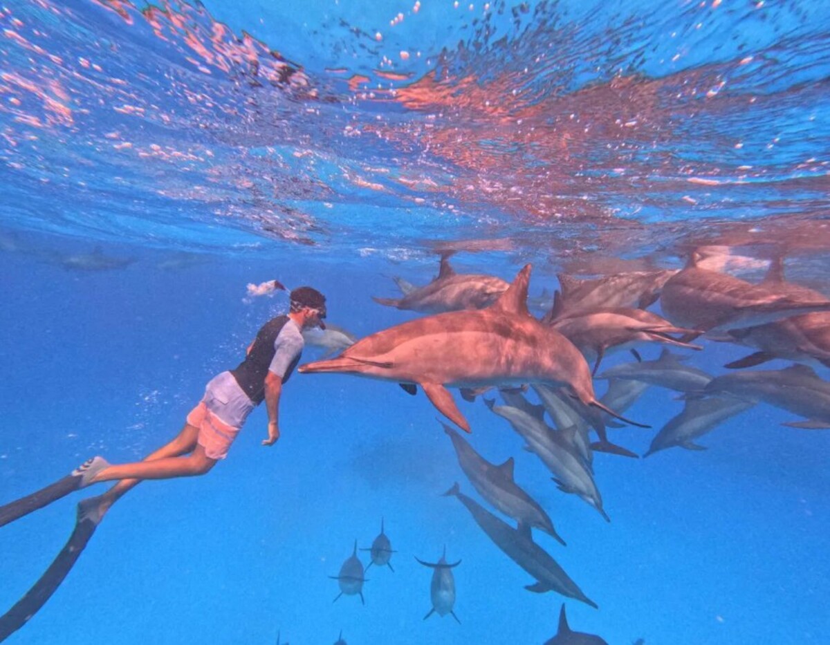 Shakty Mooni Yoga Retraite Yoga méditation et nage avec les dauphins Egypte Baie Sataya