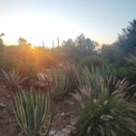 Shakty Mooni Yoga Retraite Yoga Méditation Essaouira