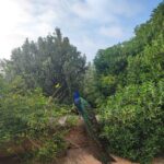 Shakty Mooni Yoga Retraite Yoga Méditation Essaouira