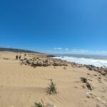 Shakty Mooni Yoga Retraite Yoga Méditation Essaouira