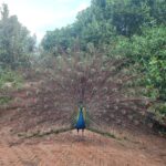 Shakty Mooni Yoga Retraite Yoga Méditation Essaouira