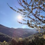 Shakty Mooni Yoga Retraite Yoga Méditation Cévennes