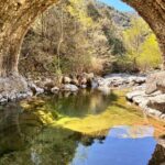 Shakty Mooni Yoga Retraite Yoga Méditation Cévennes