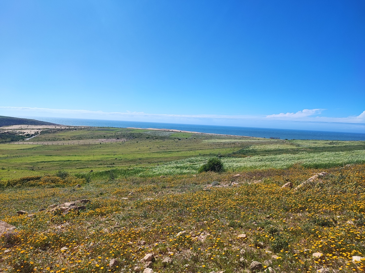 Shakty Mooni Yoga Retraite Yoga Méditation Essaouira