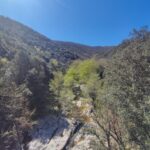 Shakty Mooni Yoga Retraite Yoga Méditation Cévennes