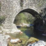 Shakty Mooni Yoga Retraite Yoga Méditation Cévennes