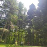 Shakty Mooni Yoga Retraite Yoga Méditation Hautes-Alpes
