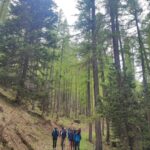 Shakty Mooni Yoga Retraite Yoga Méditation Hautes-Alpes