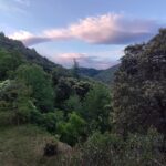 Shakty Mooni Yoga Retraite Yoga Méditation Cévennes