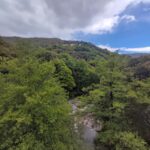 Shakty Mooni Yoga Retraite Yoga Méditation Cévennes