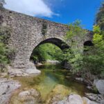 Shakty Mooni Yoga Retraite Yoga Méditation Cévennes