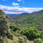 Shakty Mooni Yoga Retraite Yoga Méditation Cévennes