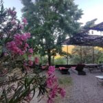 Shakty Mooni Yoga Retraite Yoga Méditation Cévennes